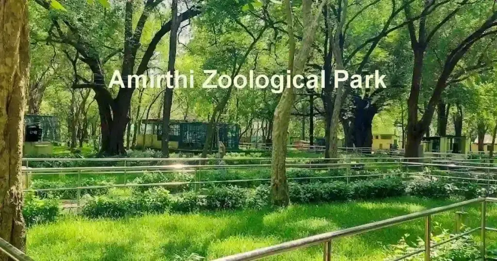 Amirthi Forest Vellore wildlife zoo waterfall Tamil Nadu
